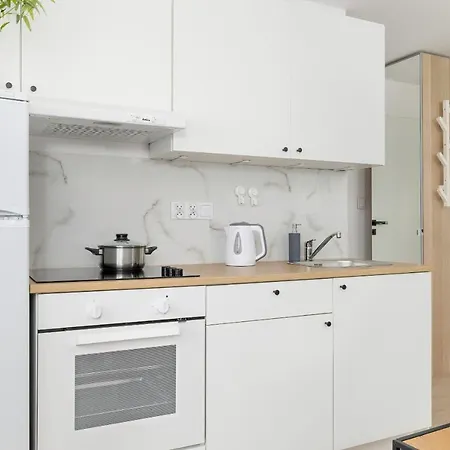Modernly Arranged Apartments In Katowice By Noclegi Renters Exterior photo