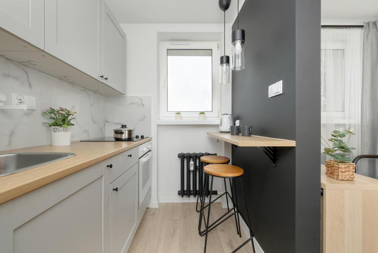 Modernly Arranged In By Renters Apartment Katowice